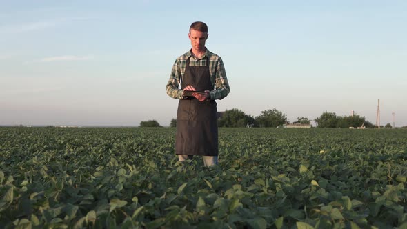 Agronomist with a tablet on a soybean field in the light of the rays of the sun. alt