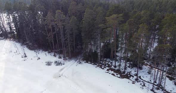 Flying Over Snow Covered Forest alt