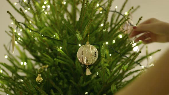 Christmas Bauble On A Tree