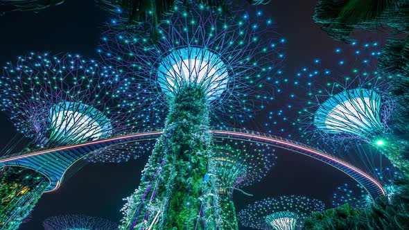 Singapore Light Show in Gardens by the Bay