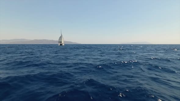 Catamaran at Sail in the Ocean alt