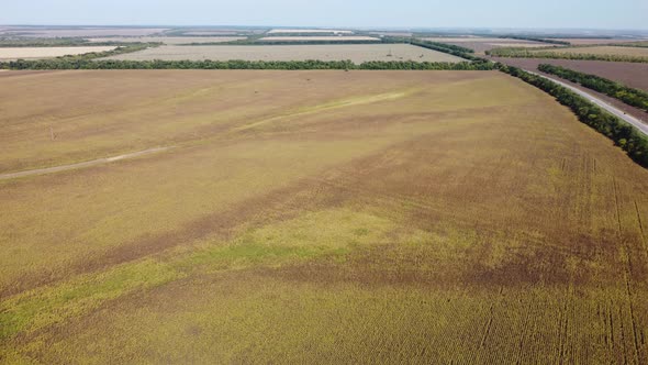 a Highway Stretching to the Horizon Among Agricultural Fields alt