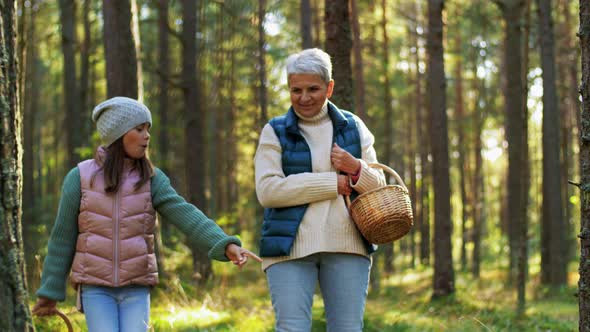 Grandmother and Granddaughter Picking Mushrooms alt