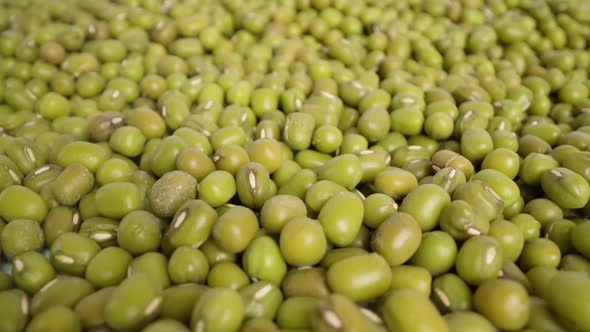 Huge Pile of Harvested Green Peas at Bright Light Macro alt