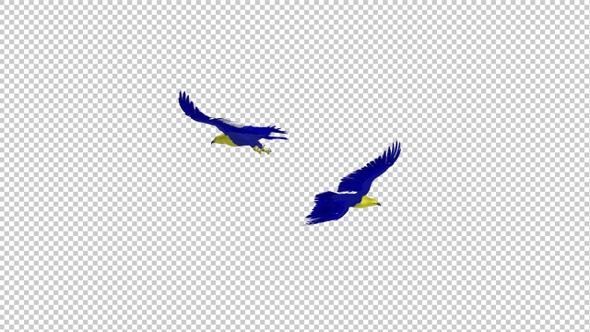 Ukraine Eagles - Two Birds - Flying Around - Transparent Loop - 4K - Alpha Channel
