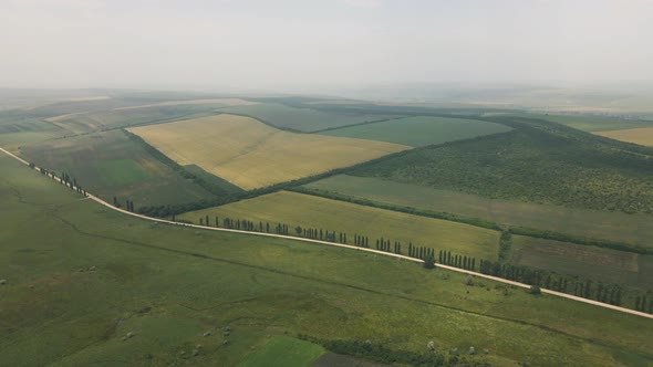 Aerial View of Bright Green and Yellow Agricultural Farm Field and Cross Country Dirt Road alt
