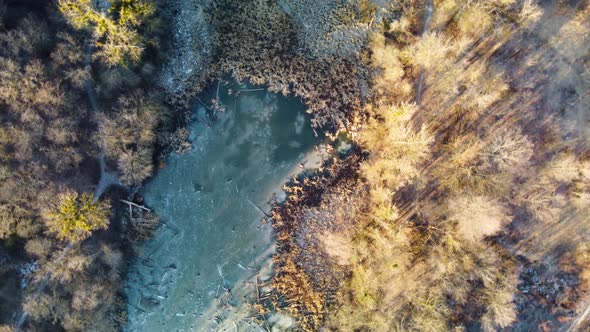 Aerial view on frozen wild lake in wintry forest