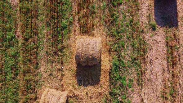 Aero Drone Flight Over Wheat Field with Rick Straw Bales