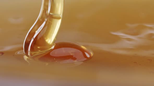 Macro close up shot of dripping honey. Seamless gold background. Soft commercial light from left and alt