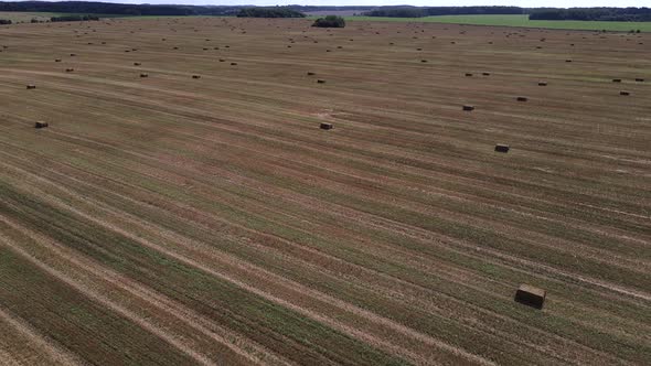 Bird'seye View of an Agricultural Field alt