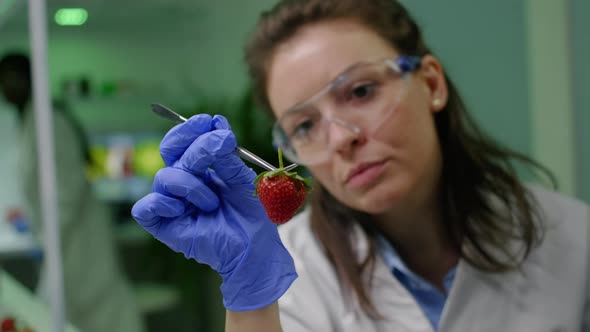 Closeup of Biologist Woman Taking Strawberry with Tweezers alt