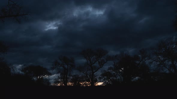 Clouds Flying Over Cottonwood Trees at Sunrise Timelapse alt