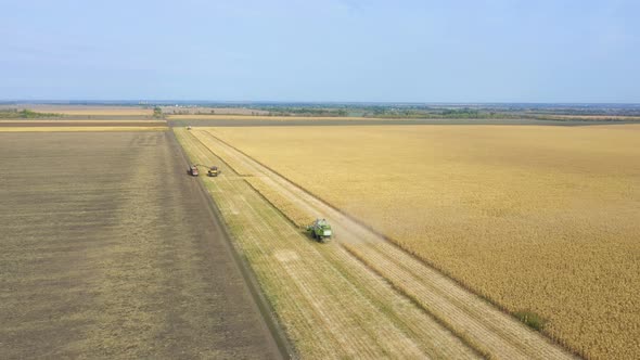 Different Combine Machines Harvesting Corn In The Field 16 alt