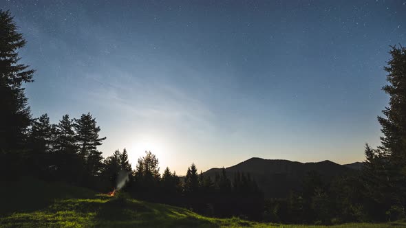 Friends Campfire at Starry Night Moonlight Wild Forest alt