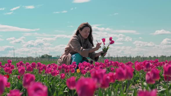 Woman picks a tulips in a field