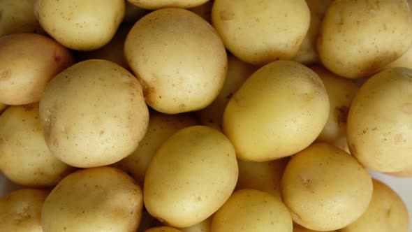 Potatoes close-up. Rotating potatoes as background video. Potatoes Clockwise alt