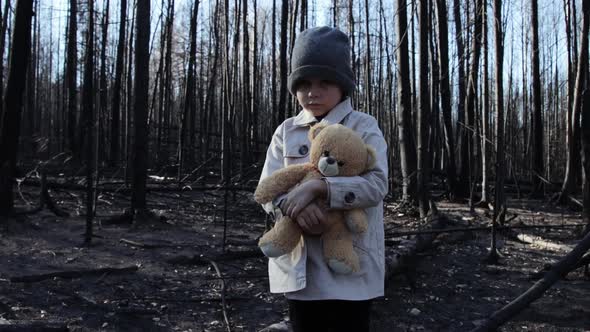 Little girl with teddy bear in burnt forest