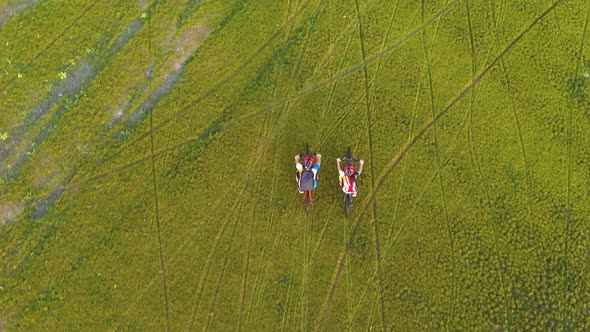 Footage B Roll 4k. Aerial view Drone tracking young People riding a bikes on the meadow