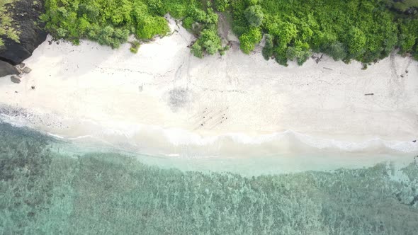 White sand beach alt