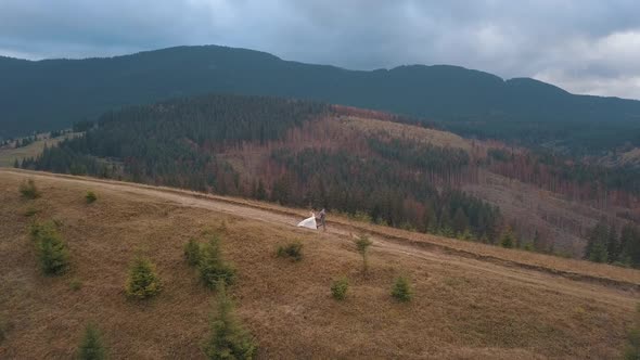 Newlyweds Bride Groom Running on Mountain Slope Holding Hands Wedding Couple Family Aerial View alt