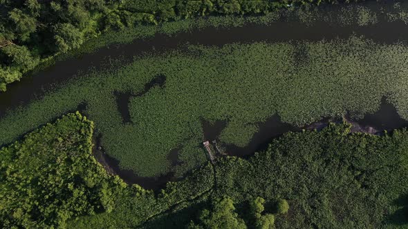 Top View of the Svisloch River in the City's Loshitsa Park with Lilies at Sunset and a Small Wooden alt