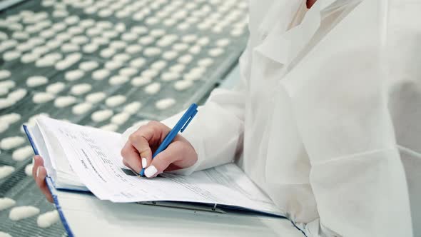 Controller Checking Conveyor with Candies alt