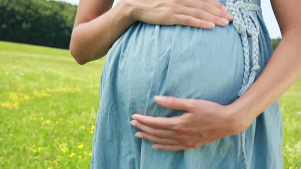 Young Pregnant Woman in Meadow