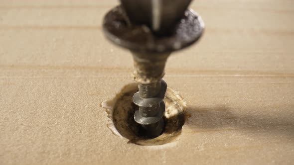 Screwdriver Unscrews Black Selftapping Screw From Wooden Board alt