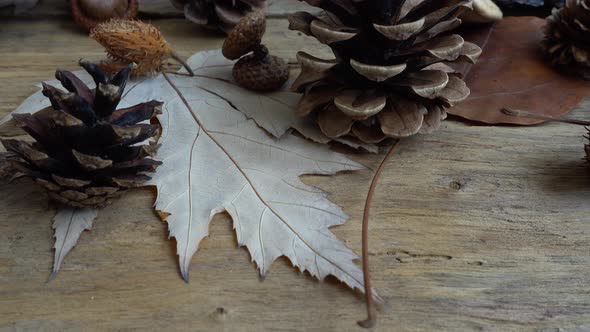 Autumn Still Life 18 alt