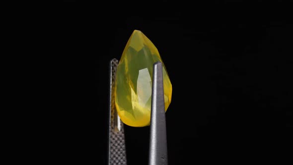 Natural Yellow Fire Opal Gemstone in the Tweezer on the Background