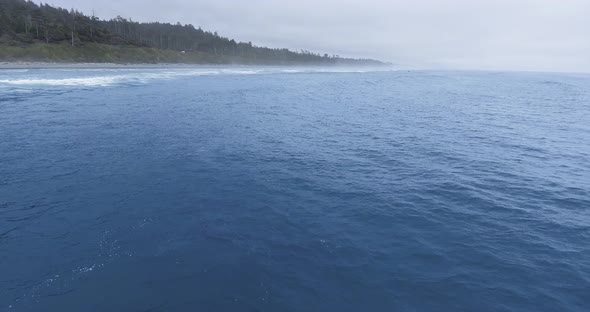 Aerial footage of gray whale making a fountain in Ruby Beach, Olympic National Park, Washington, USA alt