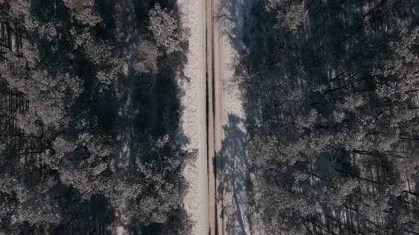 Top Down Aerial View Drone Flight Forward Over the Small Rural Road and Forest at Sunny Winter Day