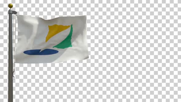 Gangwon Province Flag (South Korea) on Flagpole with Alpha Channel - 4K alt