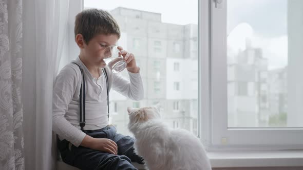 Health Care, Cute Boy Drinks Clean Cool Drinking Water From Glass Cup While Sitting By Window in alt