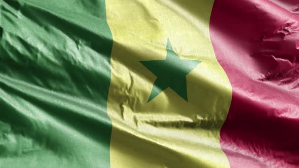 Senegal textile flag waving on the wind. Slow motion. 20 seconds loop.  alt