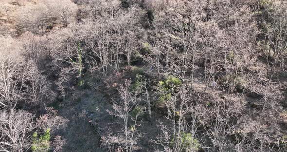 Marvellous view of Valle del Jerte, Spain alt
