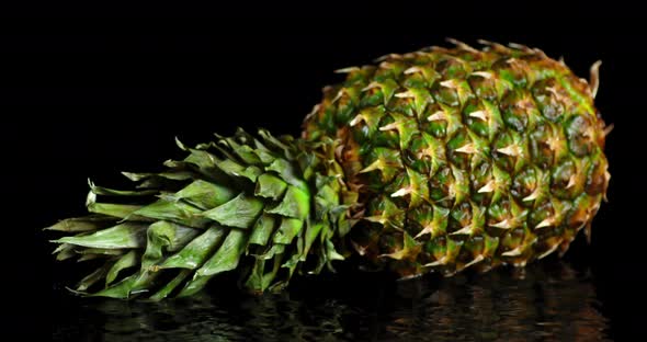 Ripe Pineapple Lying on the Water.  alt
