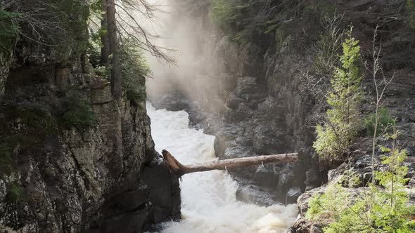 Fallen tree over rushing canyon river with misty sunbeams alt