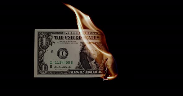 4K - Burning Money. American Dollar alt