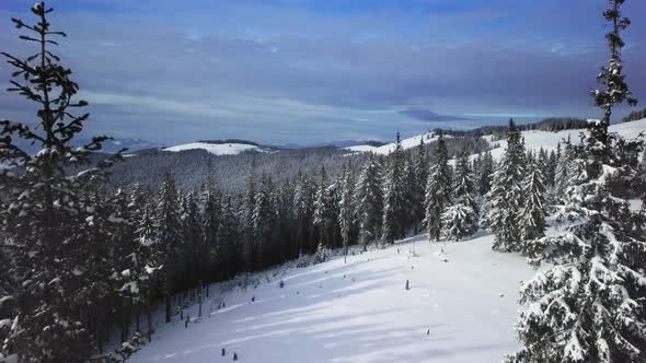 Flying Over the Forest and Mountains in Winter alt
