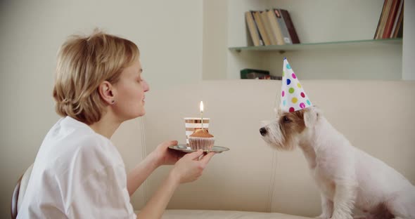 Young Woman with Their Jack Russell Dog Celebrate Birthday Party at Home alt