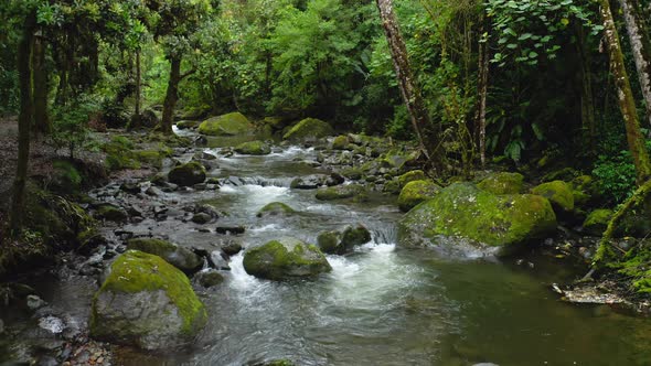 Aerial Drone View of River in Costa Rica Rainforest Scenery, Beautiful Nature with Water Flowing Thr alt