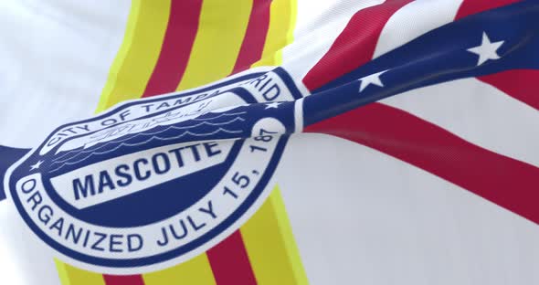 Tampa City Flag, United States alt