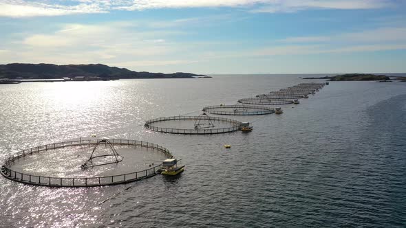 Farm Salmon Fishing in Norway alt