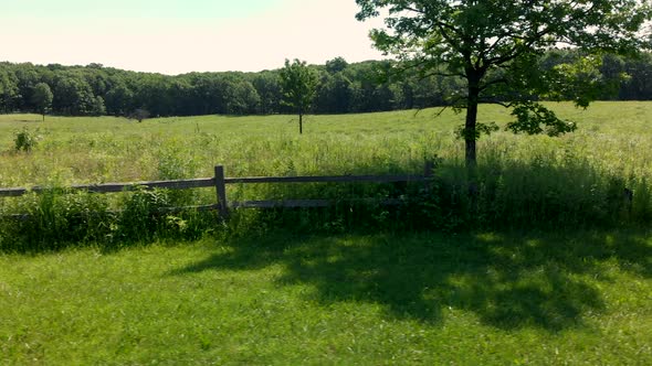 Old wooden fence in beautiful green landscape with grassland and trees drone footage. alt