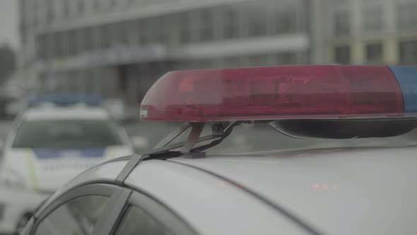 Flashing Flasher on the Roof of a Police Car. Blinker. Close-up. alt