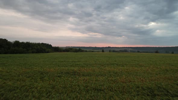 Aerial View Over the Field at Dawn