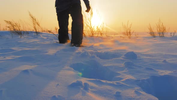 Silhouette of Man with a Backpack Walking in a Winter Landscape at Sunset alt