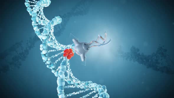 Medical Nanobots Repair a Damaged Section of DNA