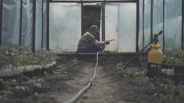 Wide Shot of Old Caucasian Male Farmer Watering Plants in Hothouse. Side View Portrait of Senior Man alt
